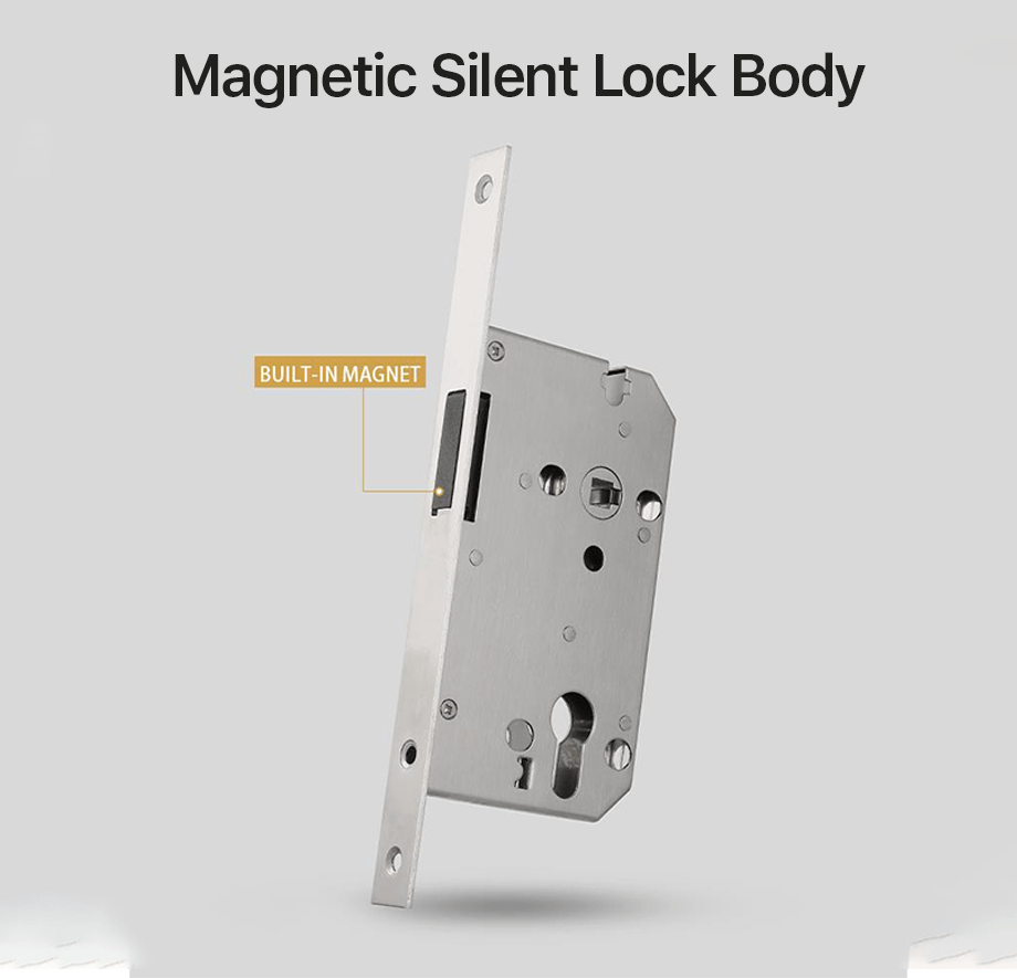 Passage Lever Door Lock