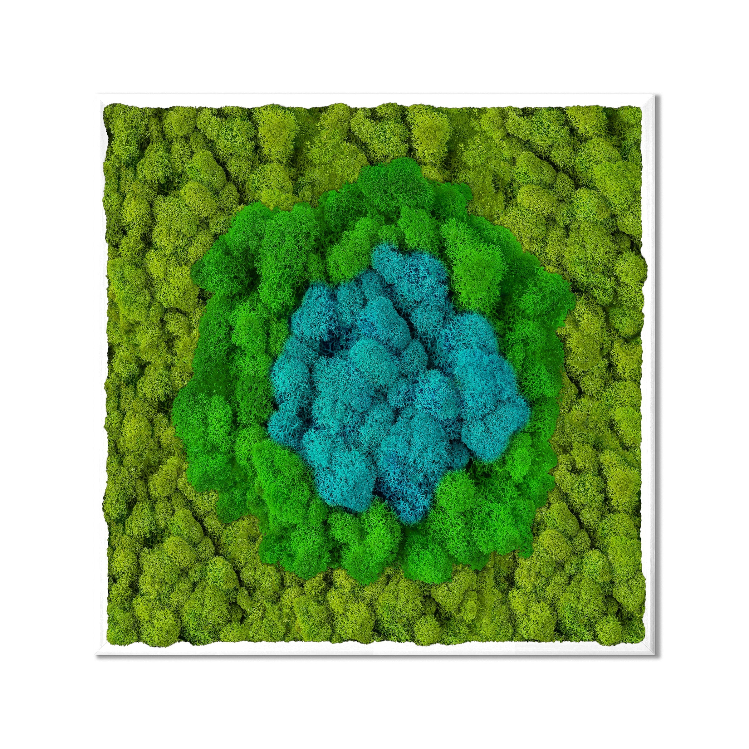 Round Blue Middle Moss Art